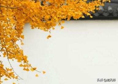 表示一个人单身的句子 单身唯美句子说说心情图片