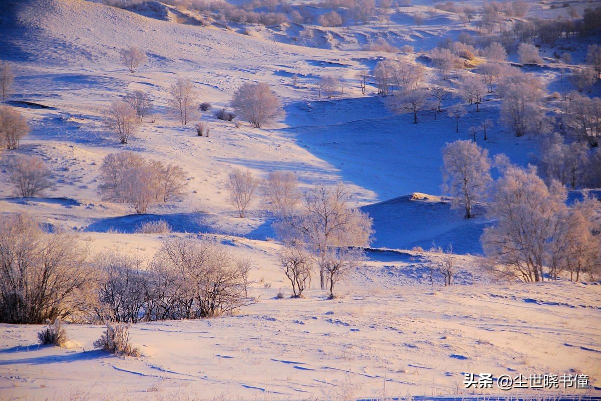 姜夔这首《钓雪亭》，可以比肩柳宗元的《江雪》，同样写得很孤独-第6张图片-非凡网