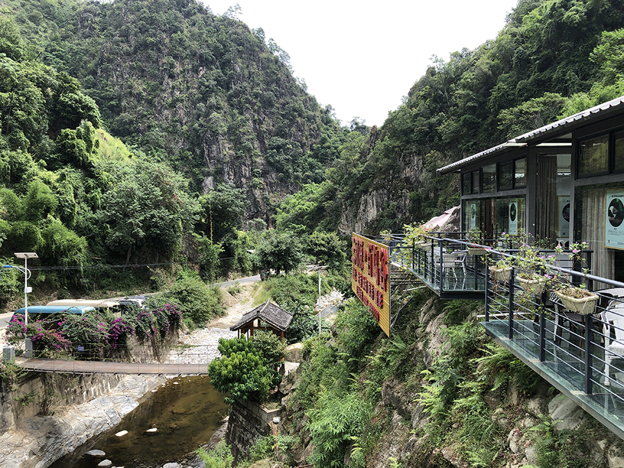 爱鸟护鸟，走出生态增收路