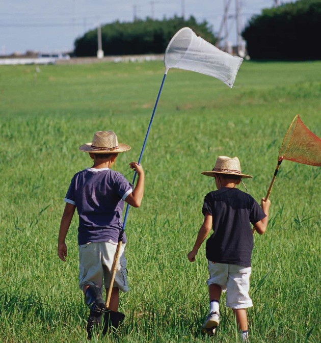 第七章 如何创意软文营销？