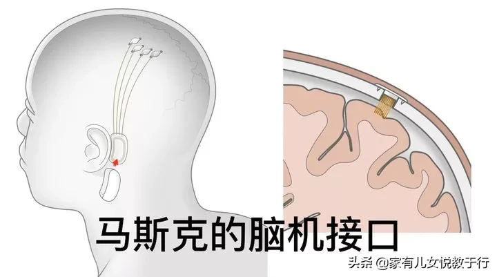 刚刚马斯克突然宣布，这项最新技术将彻底改变人与机器的交互方式
