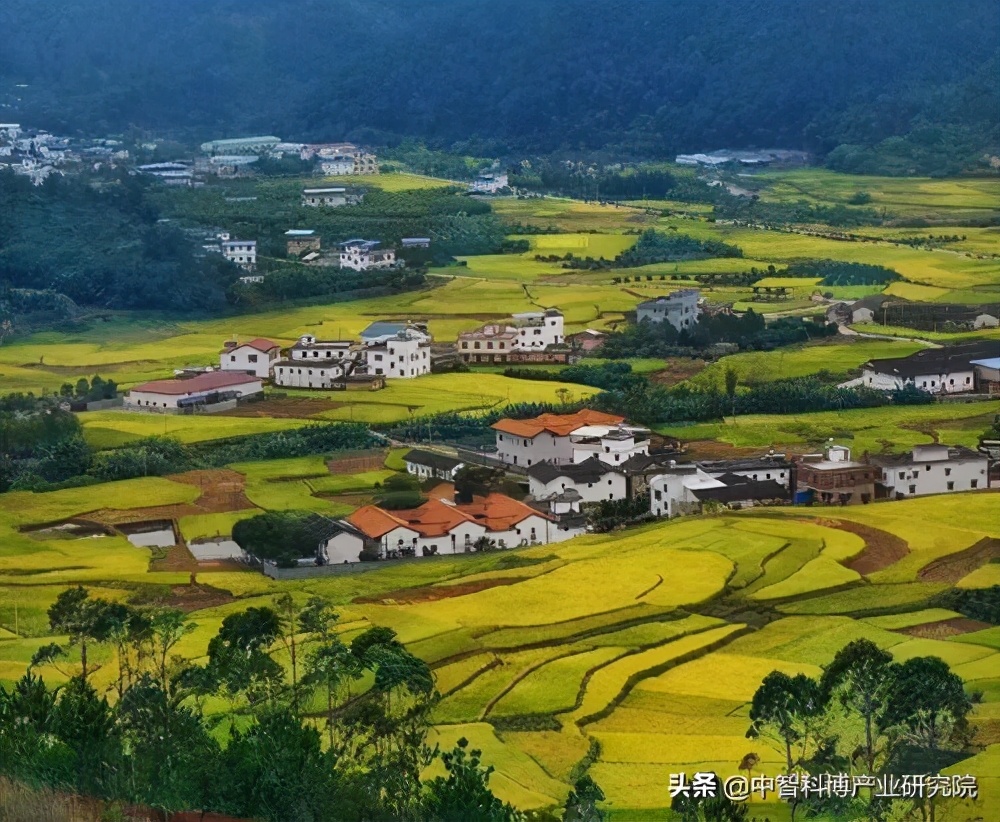 乡村振兴背景下我国农业发展成效