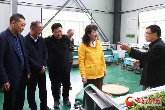 甘肃省委网信办赴文县中庙镇开展“我为群众办实事”实践活动