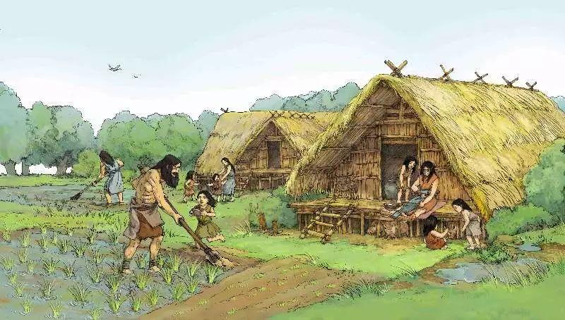 古人吃米飯的曆史，古人是從什麽時候開始吃“進口”米的？