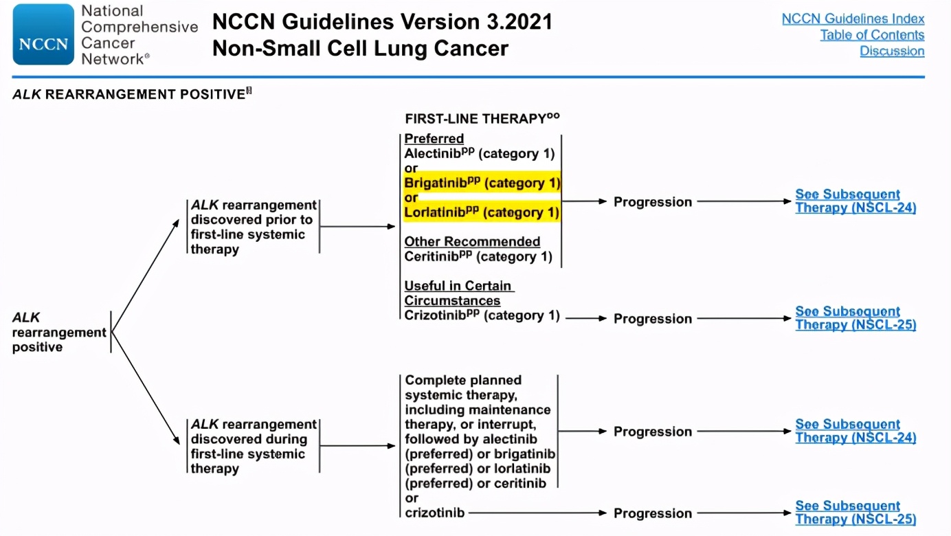2021年NSCLC指南已更新三版 更新要点一文get