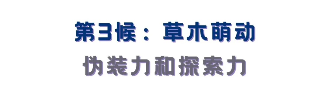 双鱼座的12种神力，12上升人人有份！中占帮你开发这黄金圣地