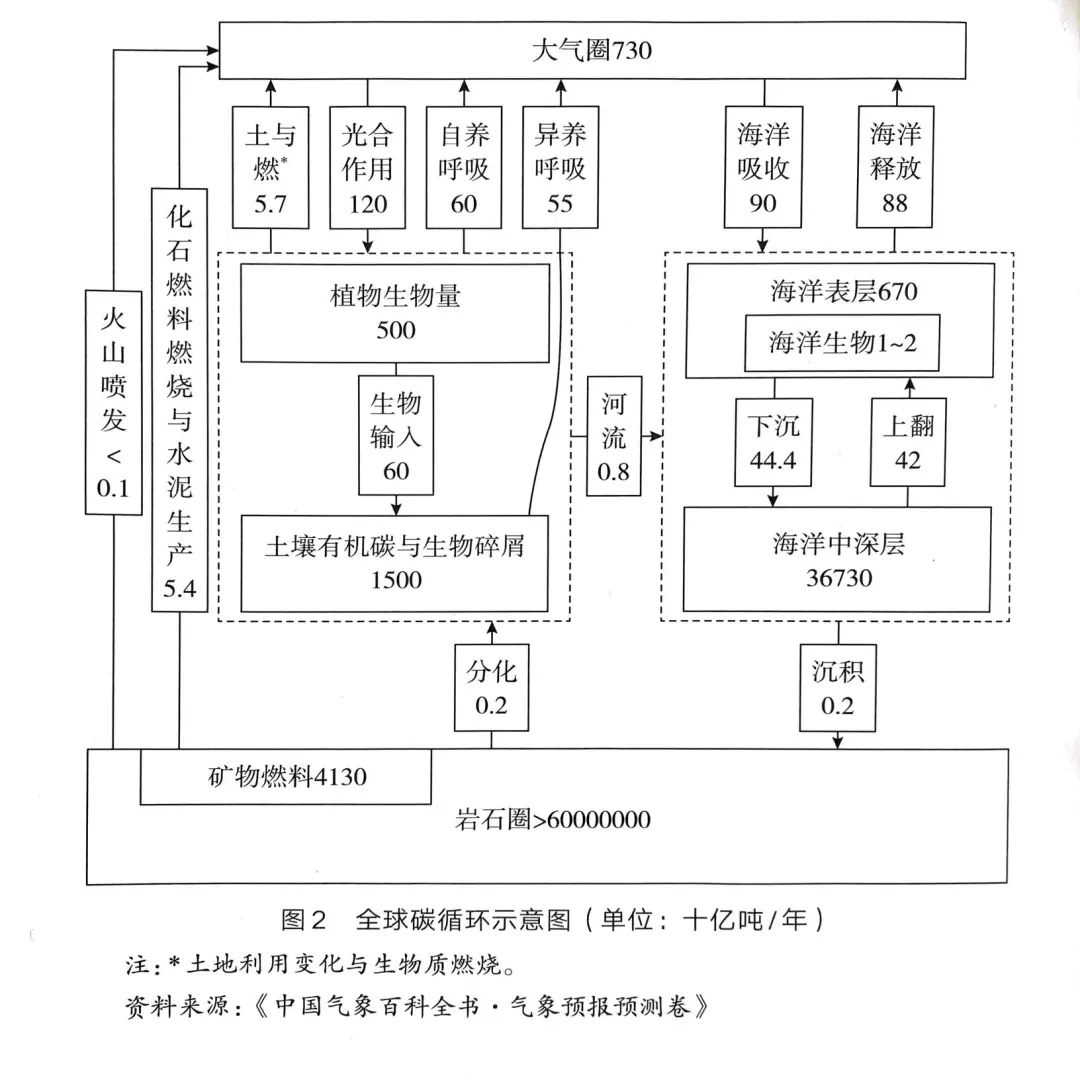 東電雲分享 雙碳課堂 地球上的碳是怎樣循環的 資訊咖