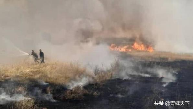 丧尽天良！美军用燃烧弹焚烧叙利亚麦田，故意