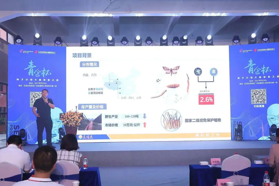 种一粒粟,秋收万颗子|“青企杯”种子计划大赛圆满收官