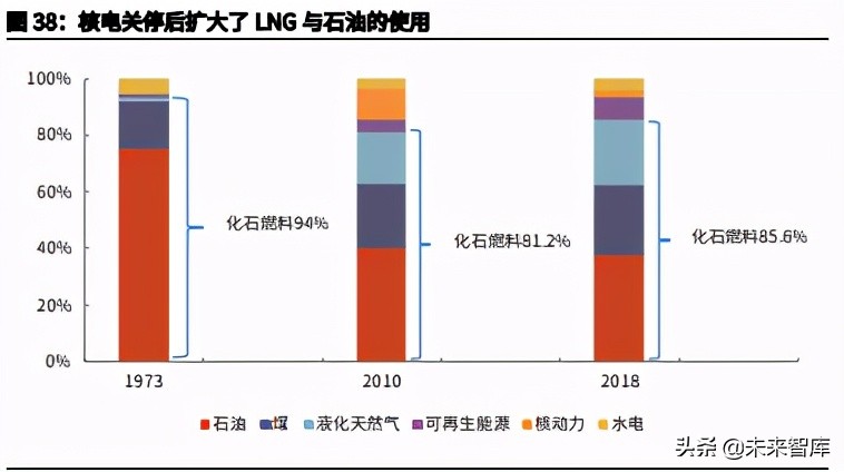 日本降碳之路主题研究报告：资源约束型国家如何选择碳中和？