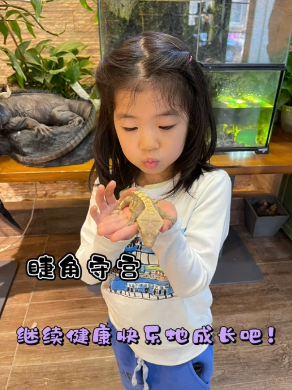 服！ 章子怡5歲女兒接觸冷血動物，醒醒徒手抓蛇摸蜥蜴超淡定