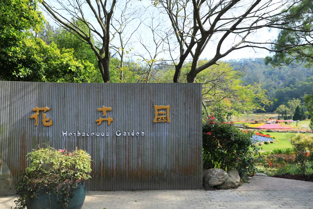 植物园雨林雾森时间调整,还将有这些变化