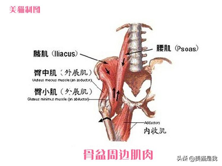 你不是腿短，可能是长短腿，如何辨别和矫正？