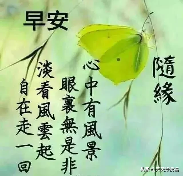 非常漂亮的早安问候语 早安图片唯美带字