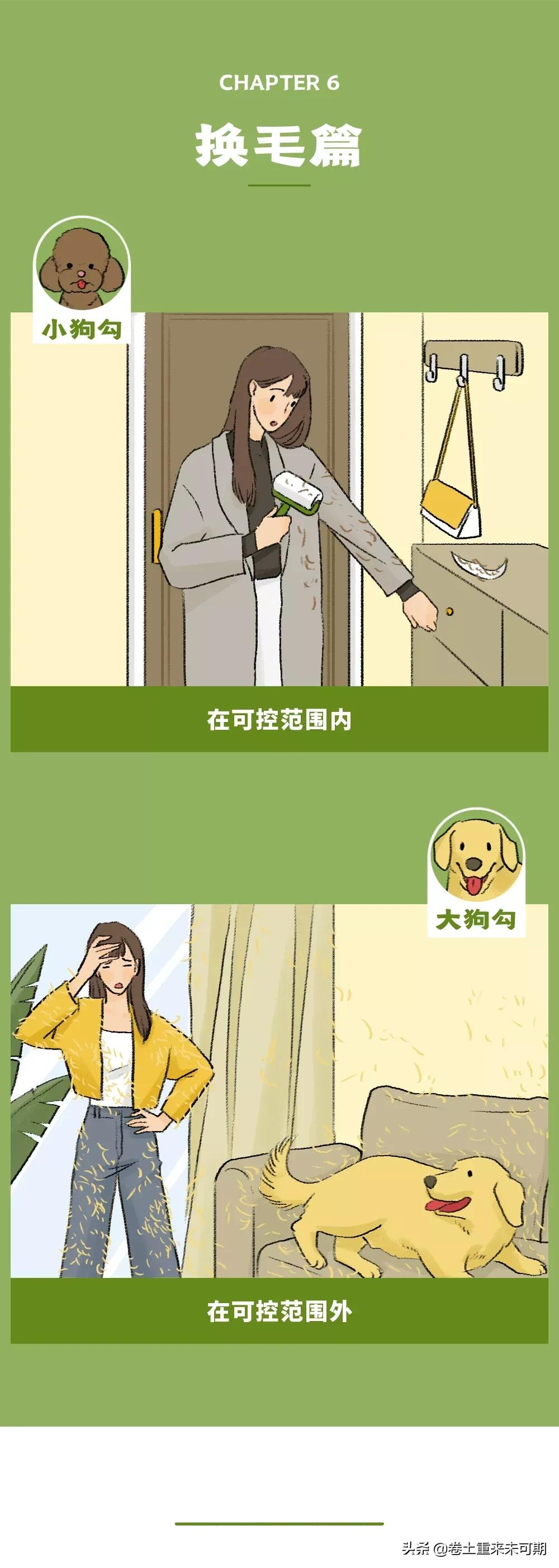 漫画：女生养大狗，对男朋友有什么坏处？