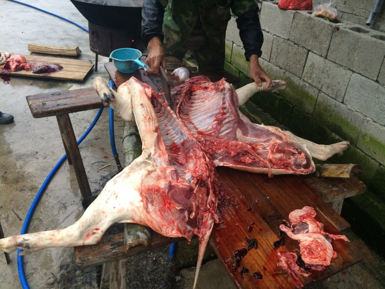 圖片[2]-一斤鮮羊肉40元 為啥冰凍羊肉才20幾元呢？相差太大了-起舞食譜網