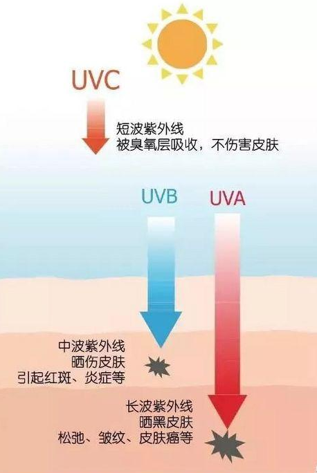 皮膚黑，想美白？美白總是不成功？一次性告訴你變白的全部方法