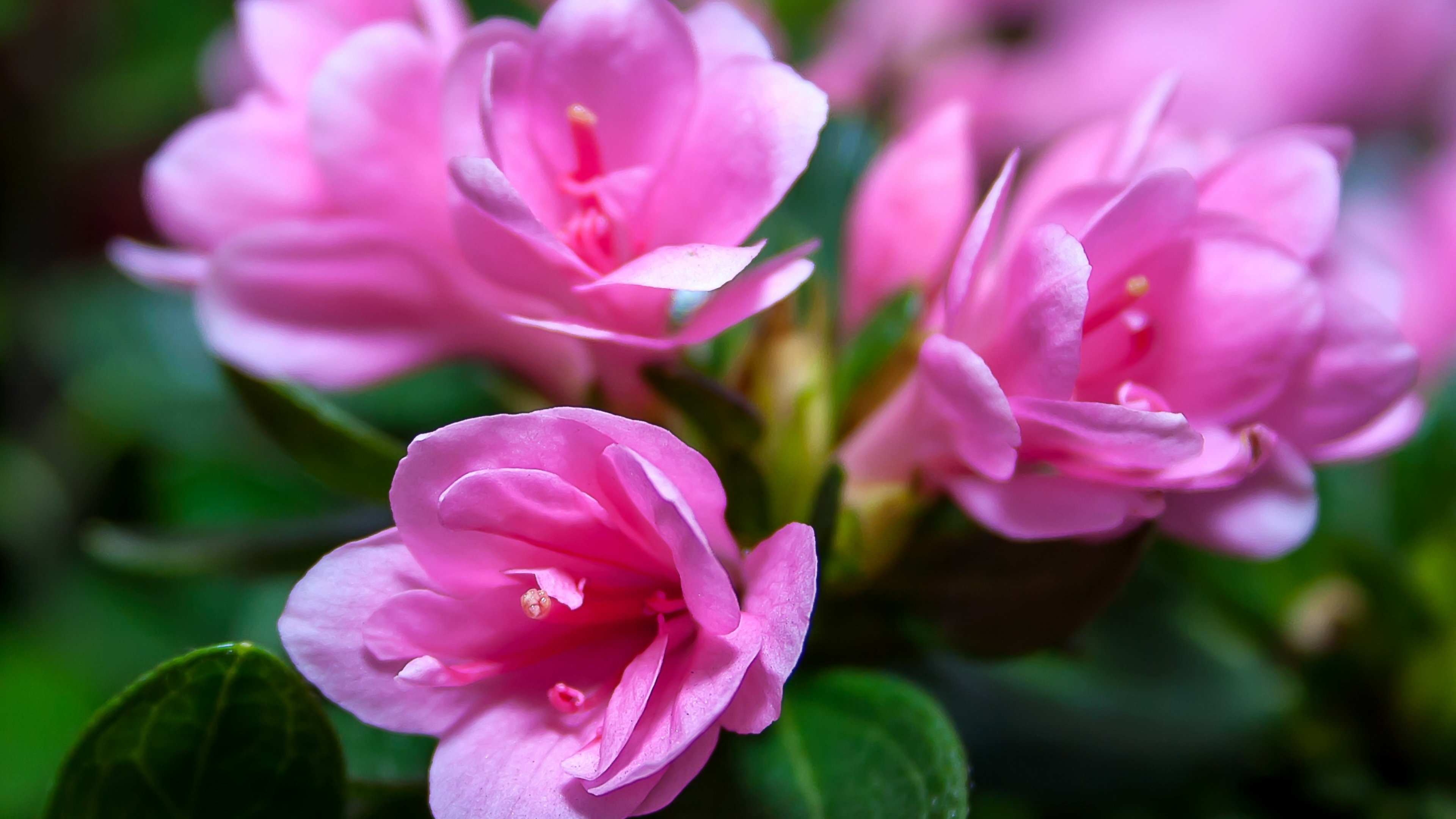 3月19日星座運勢 巨蟹刮目相看 天蠍堅持到底 水瓶頭腦清醒 資訊咖