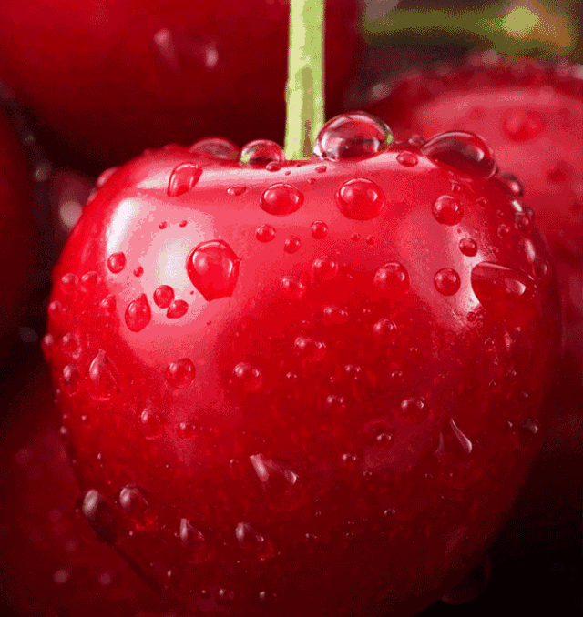 第二届中国澄城樱桃云营销季开幕澄城樱桃甜蜜上市