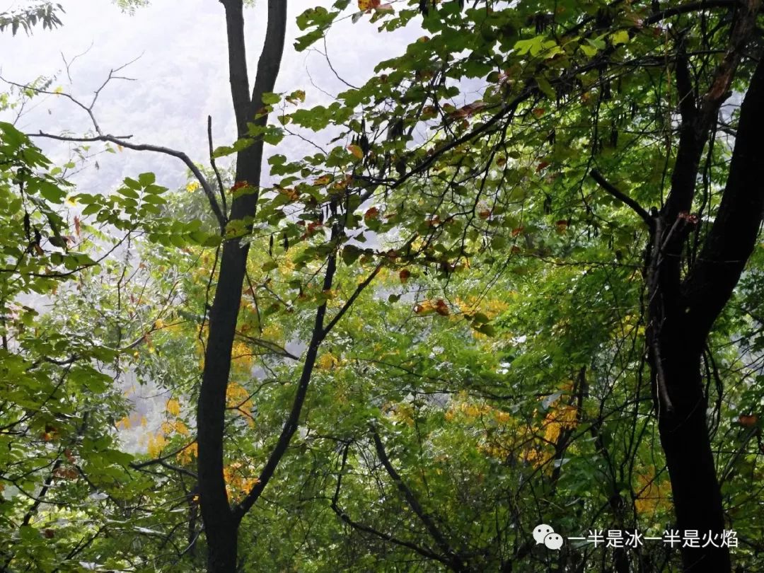 散文诗：秋天，适合一场说走就走的旅行-第5张图片-诗句网