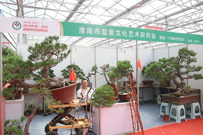 2020第八届中国•沭阳花木节将于9月29日开幕