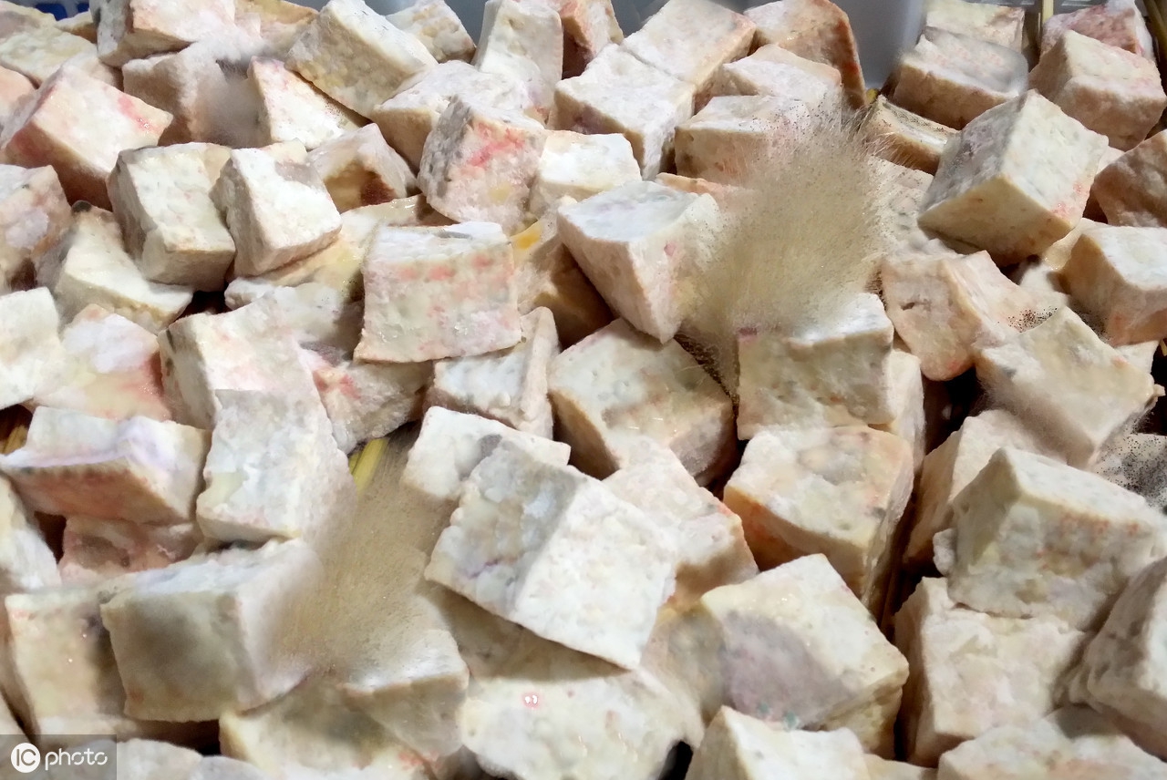 13关于豆腐长毛的说说 _晶羽文学网