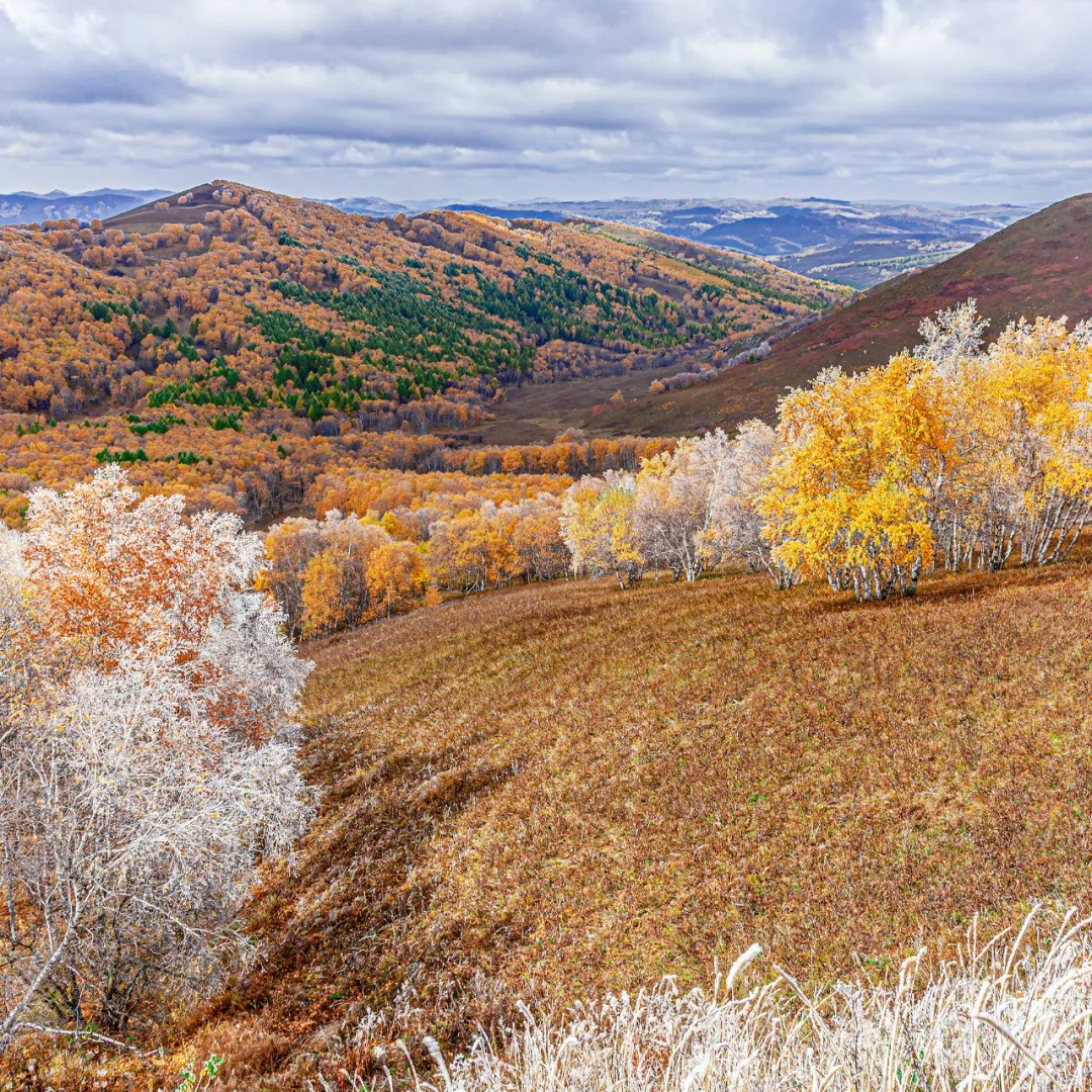 Chifeng, Inner Mongolia, northeast or north China?