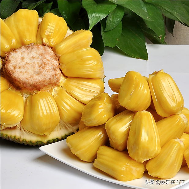 水果皇后不仅果肉鲜美，被大家抛弃的核比肉营养价值还高