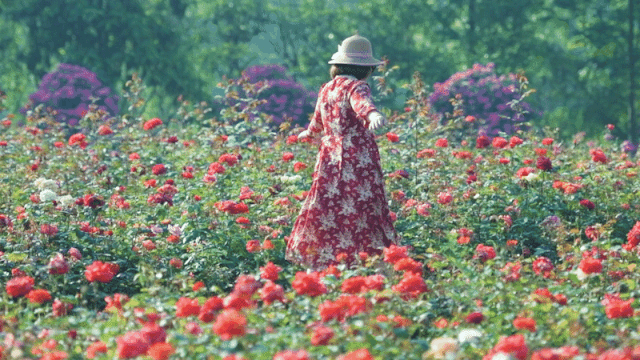 铜梁.龙乡绿道：在巴岳玄天下延展超级步行重庆的新可能性