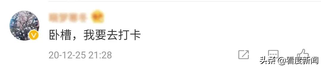 火遍全网、万人打卡的狮子王，我们找到了他的“幕后老大”