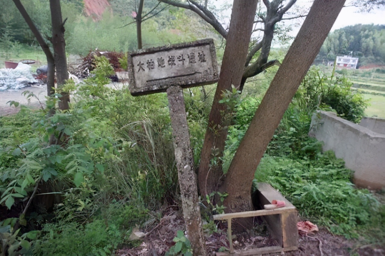 毛泽东唯一一次战场开枪，从贺子珍手上接枪带