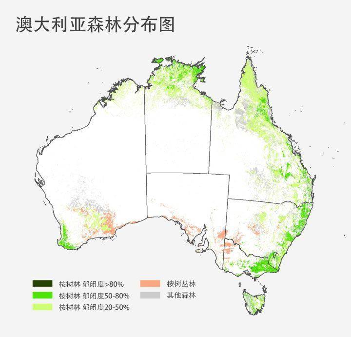 澳大利亚山火卷土重来，已燃烧7周，祸根早在4万年前就已种下