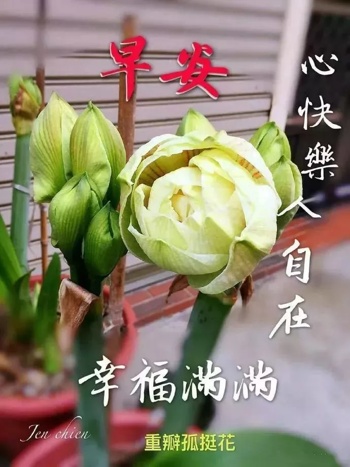早上好问候祝福语漂亮图片表情  问候一句早安图片