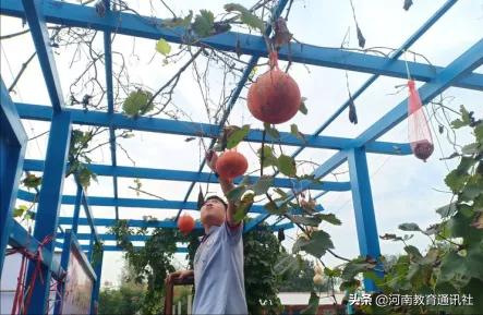 滑縣牛屯鎮(zhèn)中小學(xué)校慶祝農(nóng)民豐收節(jié)專題活動(圖7)