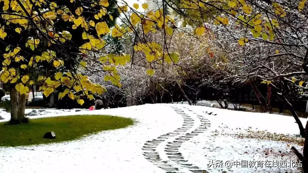 甘肃初雪|甘肃18所高校初学雪景大PK,快来看看有你的母校没?