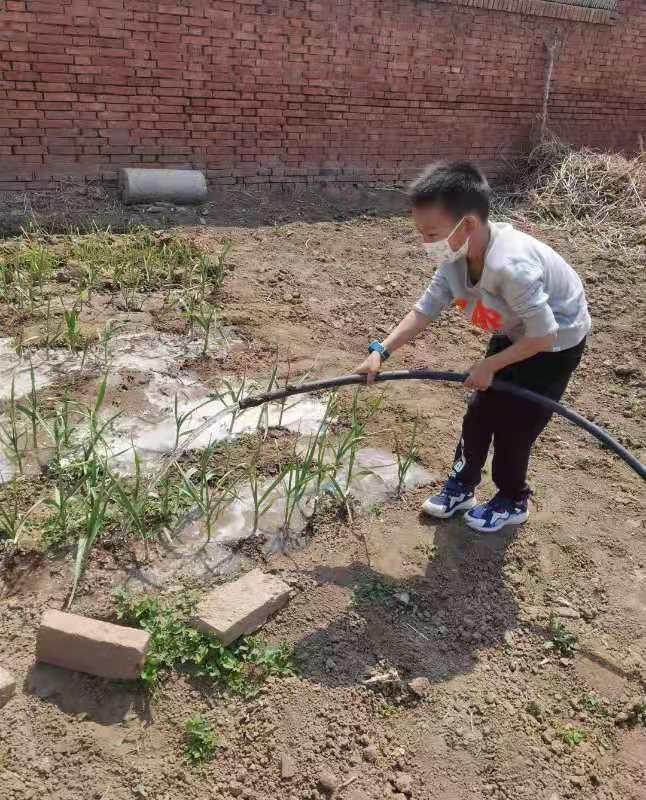 石家庄市维明路小学怎么样?过有劳动的劳动节(图2)