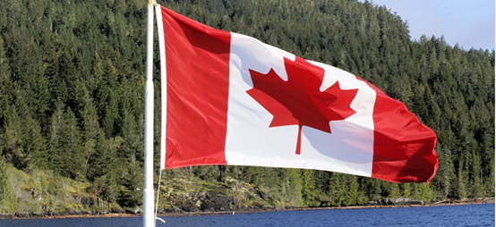 加拿大移民明年或迎来强势反弹，现在正是“捡漏”好时机