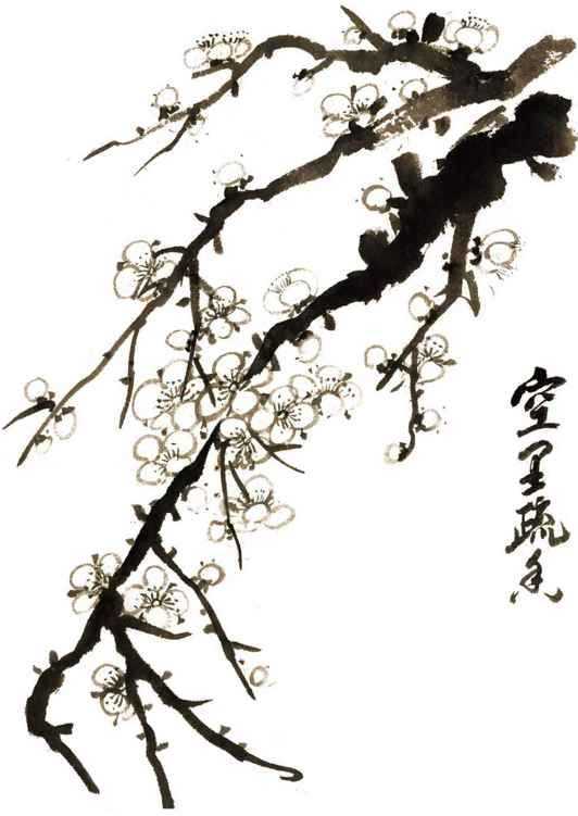 零基础国画入门:详细讲解梅花的五种画法,手把手教画,简单易学-名家授