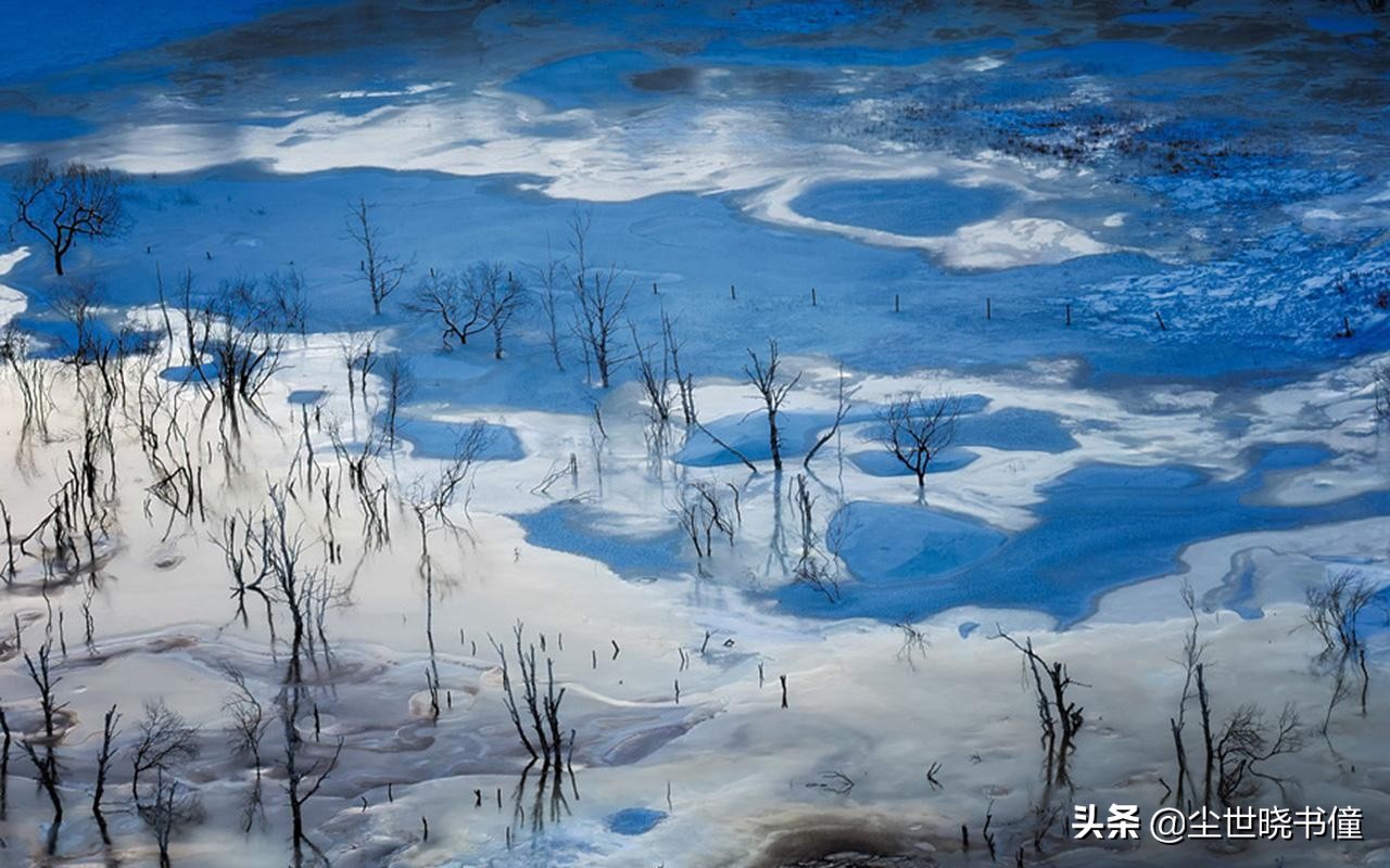 姜夔这首《钓雪亭》，可以比肩柳宗元的《江雪》，同样写得很孤独-第5张图片-非凡网