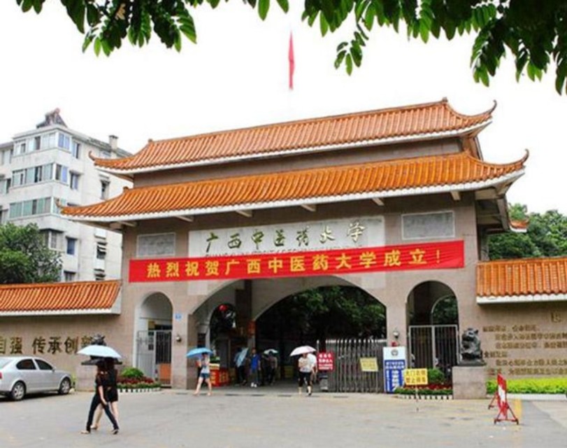 厉害，广西被称中国天然药库，多家医院获自治区中医药考评一等奖