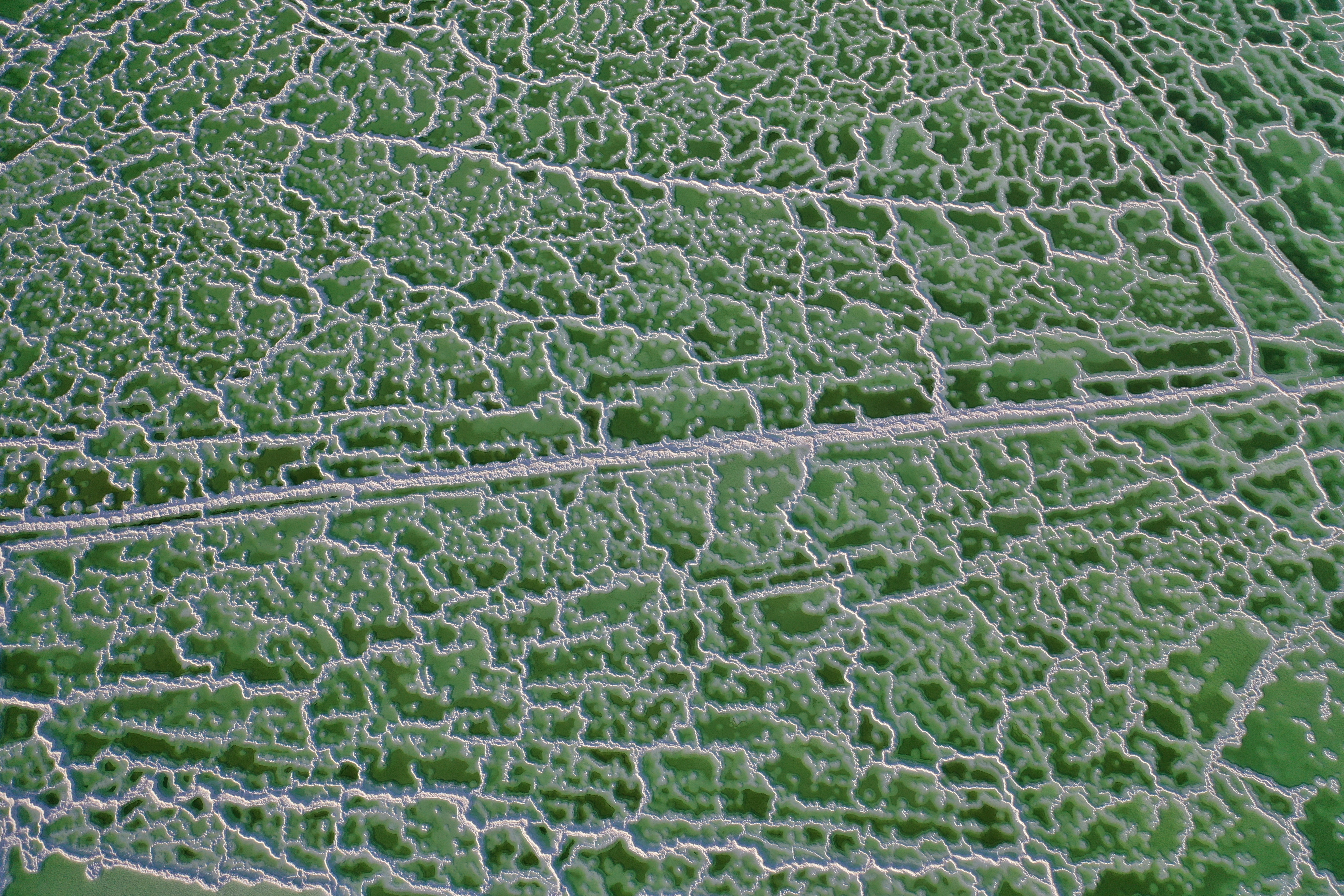 游客青睐中国最大盐湖——察尔汗盐湖