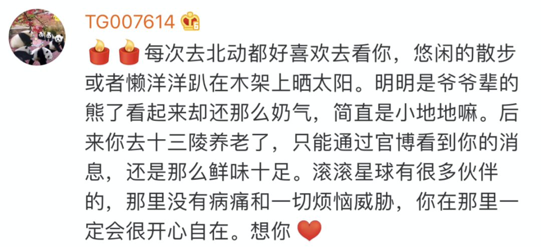 主打置顶|北京动物园“大地叔叔”去世近一个月后，死因公布！网友深情追忆