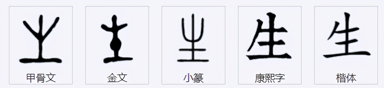 国锋练字：生字的字义与写法