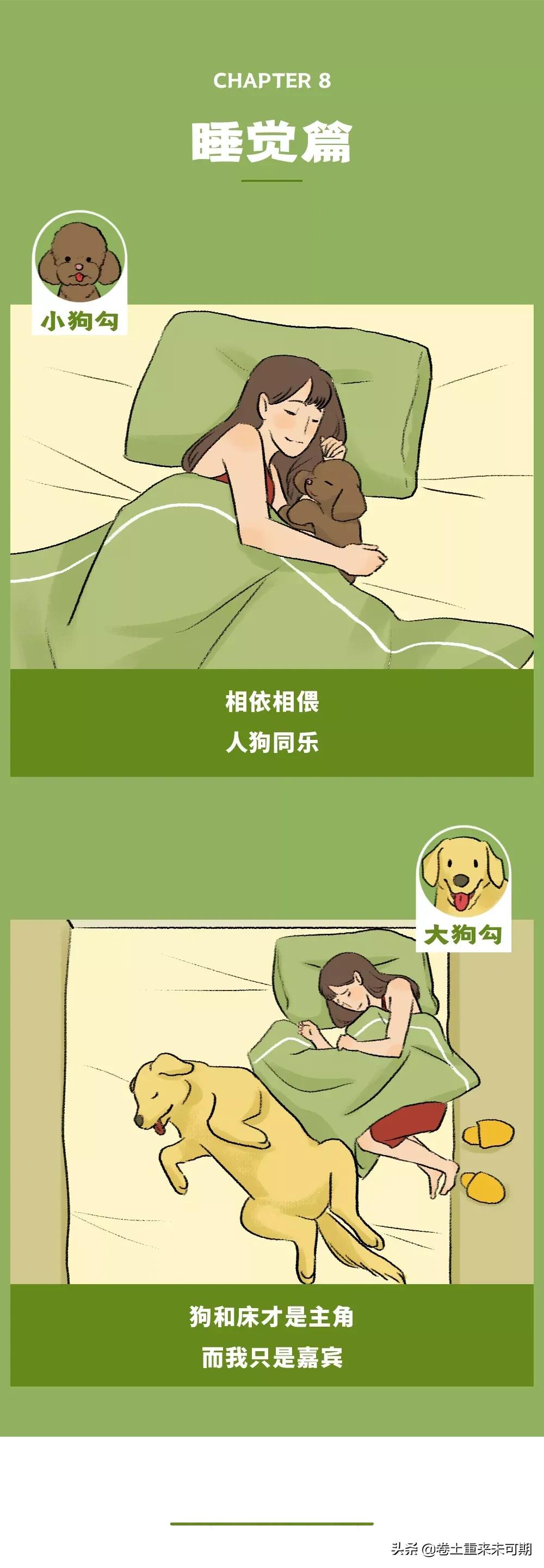 漫画：女生养大狗，对男朋友有什么坏处？