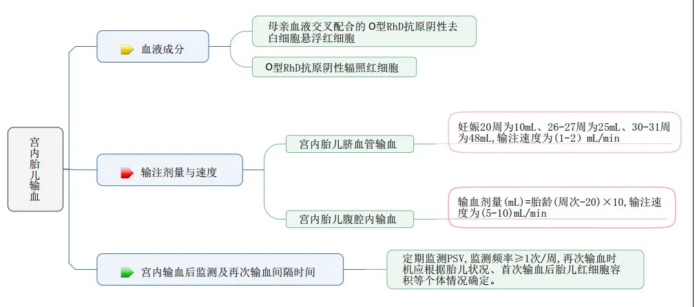 Rh血型系统探秘之旅（二）——“熊猫血”妈妈的孕期自我管理