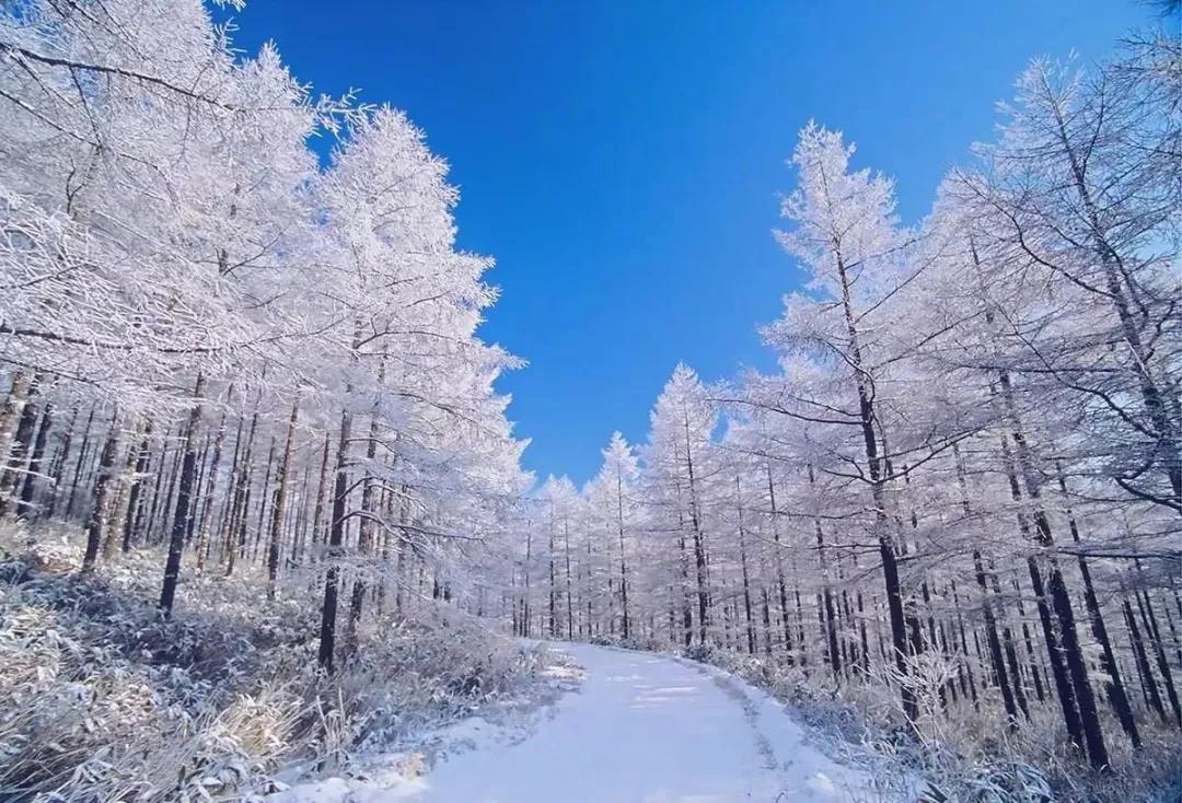 節日丨日本 從沖繩海灘到北海道的雪 一起去打卡這個二次元國家 中國熱點