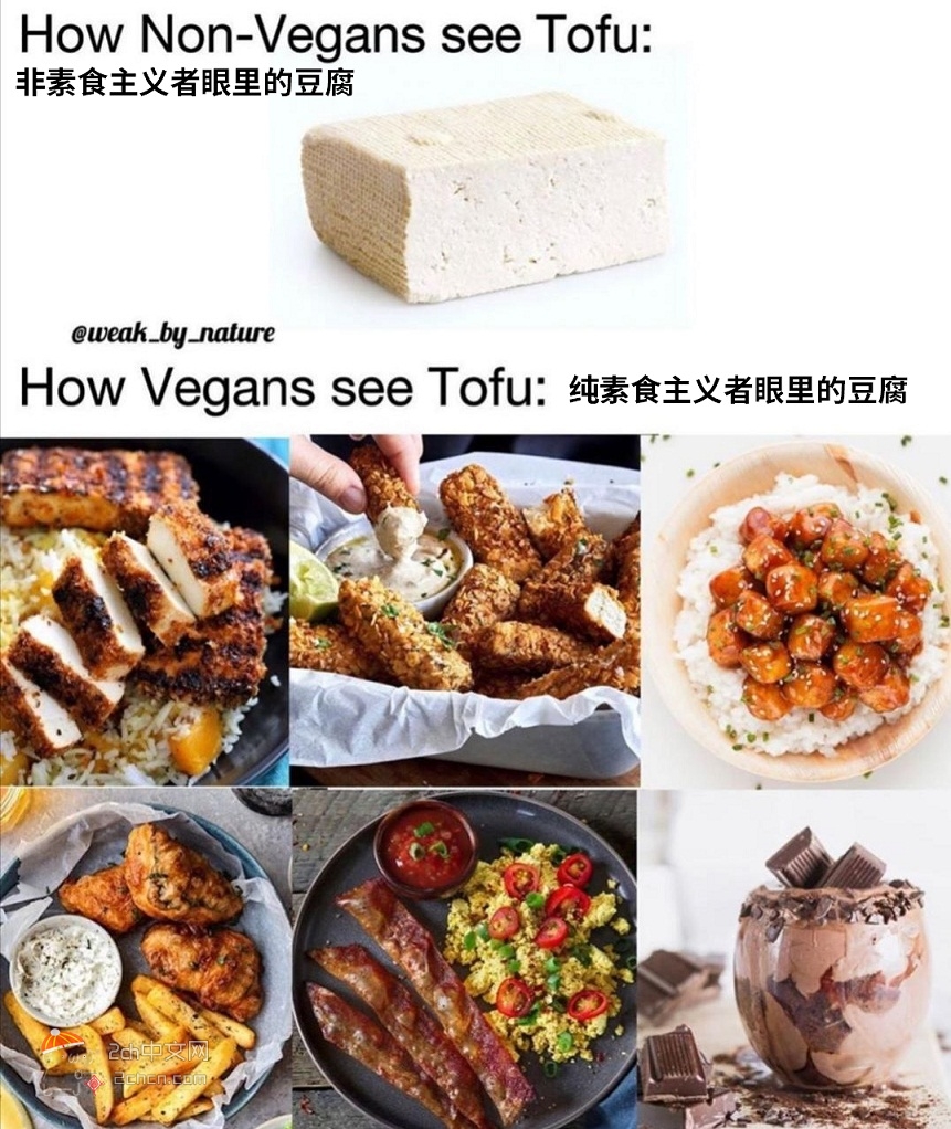 日本網民吐槽：純素食主義者和普通人眼裡的豆腐完全不一樣
