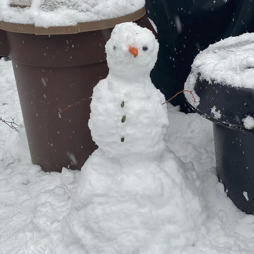 鍾嘉欣陪子女堆雪人，畫面溫馨有愛，2歲兒子古靈精怪越來越帥