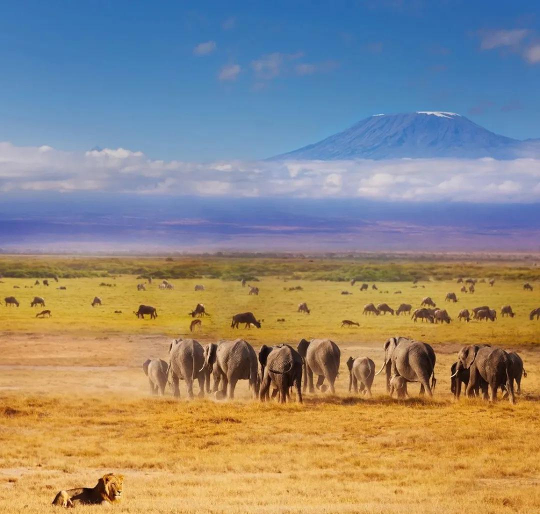 毕业生月薪一两万也跳槽？和大厂朋友聊天，提到几个职场底层思维