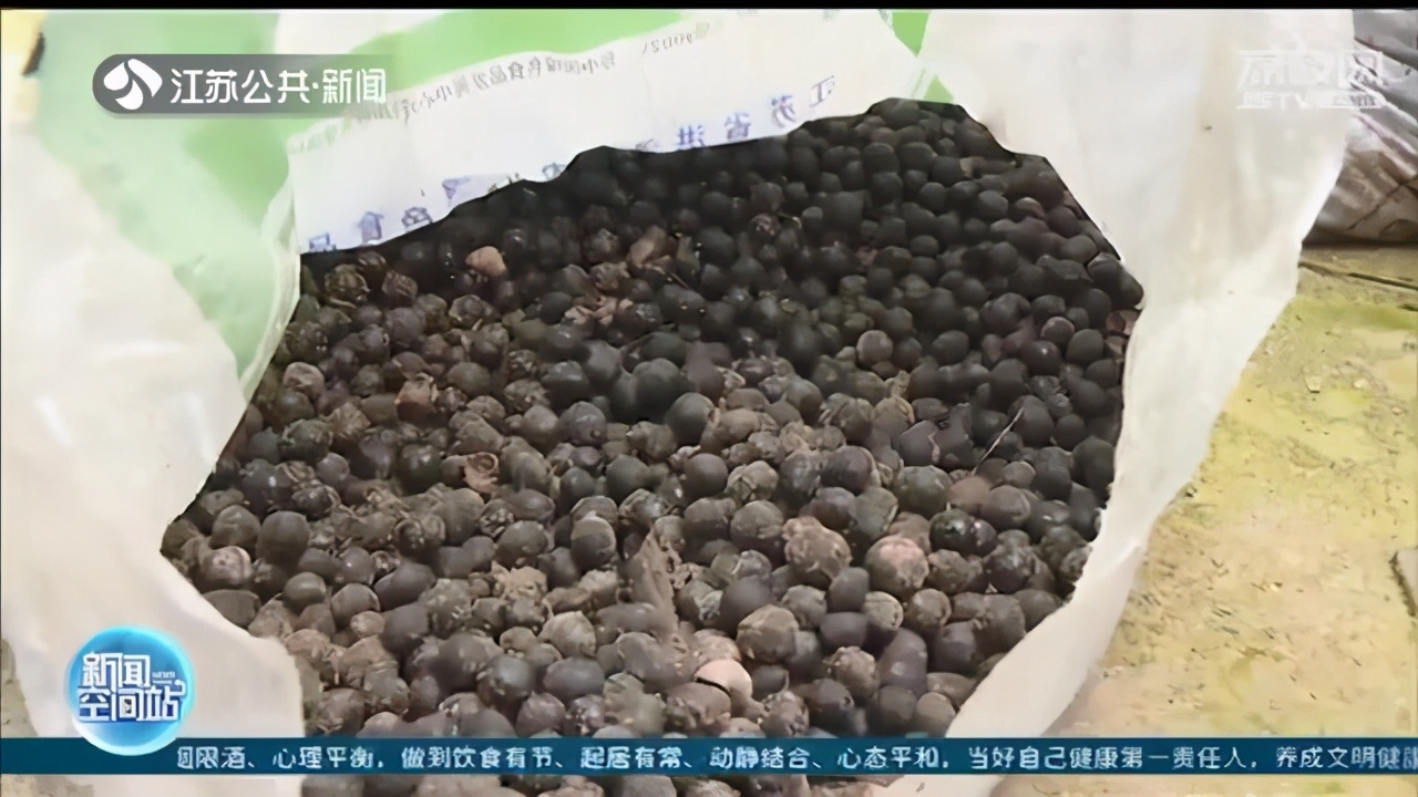 俩团伙跨省至江苏洪泽湖作案 非法捕捞芡实、螺蛳超6吨